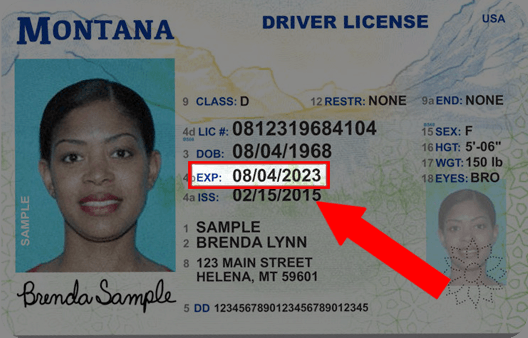 Montana Drivers License